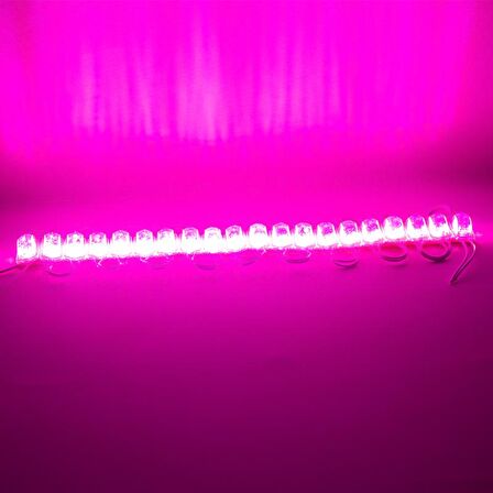 POWERMASTER MODÜL LED 12V 1.5W PEMBE 2835 85 X 73MM IP65 240-260LM 180 DERECE