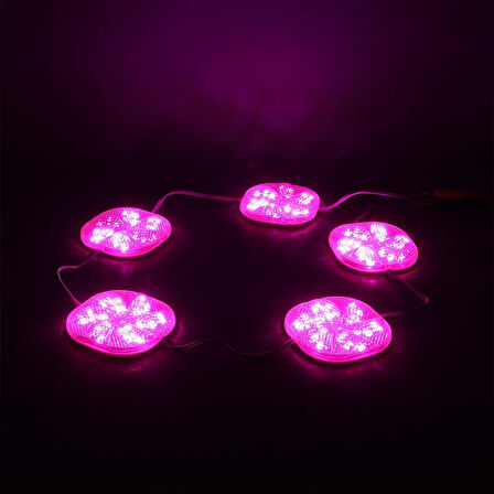Powermaster 12 Volt 3 Watt Pembe Yanıp Sönen 6565-2835 Modül Led