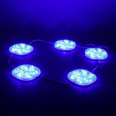 Powermaster 12 Volt 3 Watt Mavi Sabit 6565-2835 Modül Led