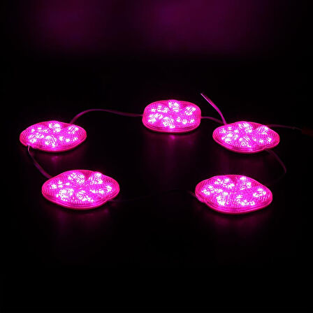Powermaster 12 Volt 3 Watt Pembe Sabit 6565-2835 Modül Led