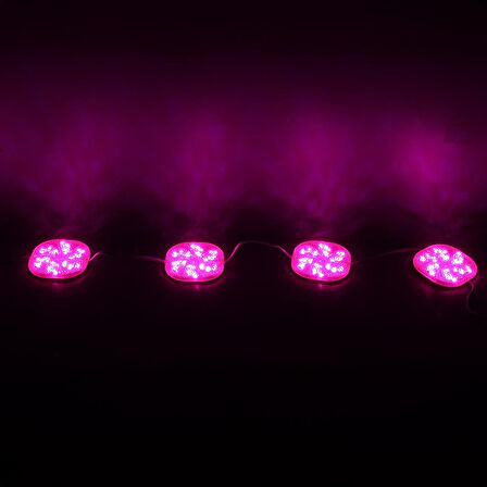 Powermaster 12 Volt 3 Watt Pembe Sabit 6565-2835 Modül Led