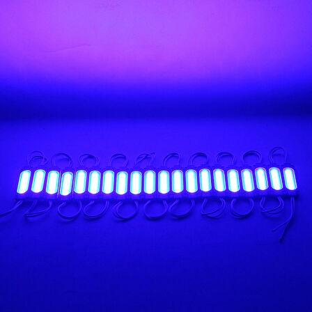POWERMASTER MODÜL LED 12V 2W MAVİ 68X16 MM