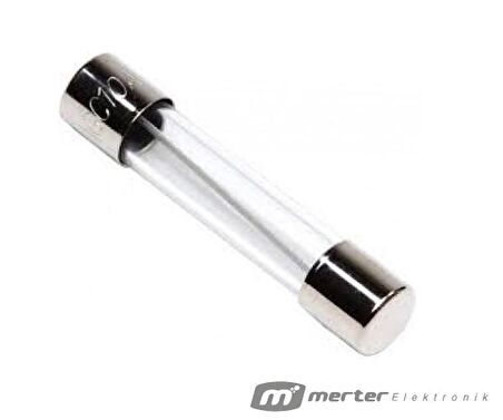 CAM SİGORTA BÜYÜK 20 AMPER (100 ADET)