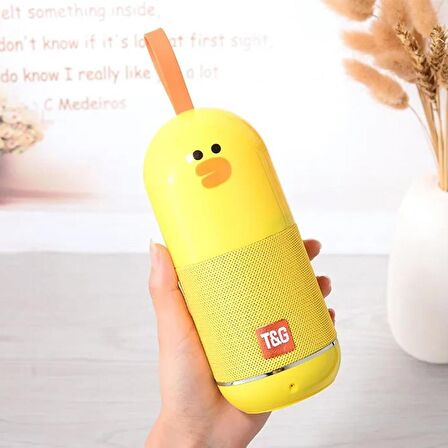 T&G TG502 Taşınabilir Wireless Hoparlör