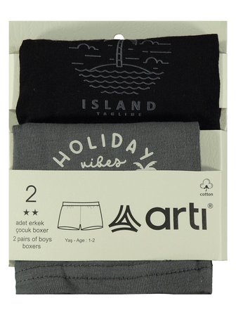Artı Çorap Island Erkek 2'li Boxer Set - Standart