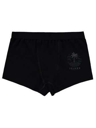 Artı Çorap Island Erkek 2'li Boxer Set - Standart