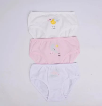 Katamino Beryu Kız 3Lü Slip K128627 Asorti