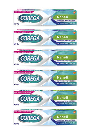 Naneli Diş Protez Yapıştırıcı Krem 40 Gr * 6 adet