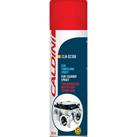 CALDİNİ Egr Temizleme Sprey
