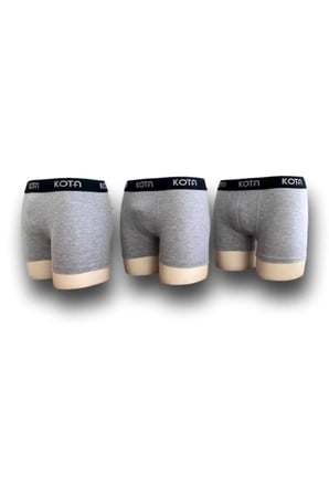Erkek Pamuklu Slip Boxer 3'lü
