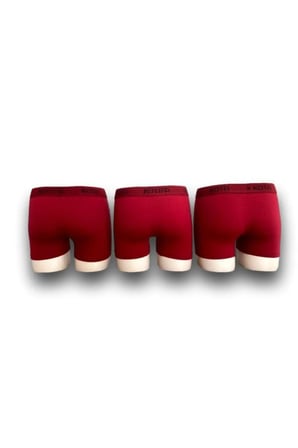Erkek Pamuklu Slip Boxer 3'lü