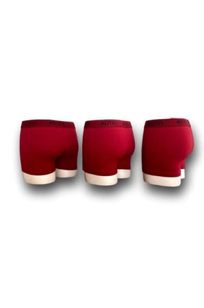 Erkek Pamuklu Slip Boxer 3'lü
