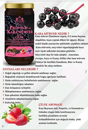 Lexton Kara Murver Katkılı Çilek Keçi Boynuzu Pekmezi  640 G 8680713316777