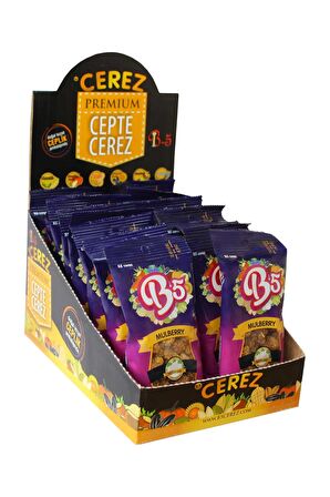 B5 Çerez Kuru Dut 16 x 30 gr