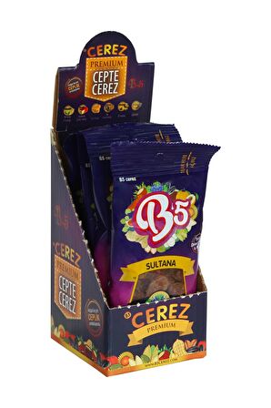 B5 Çerez Kuru Üzüm 4 x 40 gr