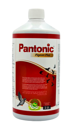 Royal İlaç Pantonic Pigeon Plus 1 Lt. Güvercin ve Kafes Kuşları Için Multivitamin