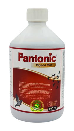 Royal İlaç Pantonic Pigeon Plus 500 Ml. Güvercin ve Kafes Kuşları Için Multivitamin
