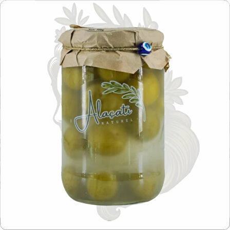 ALAÇATI NATUREL 660 GR ERİK TURŞUSU