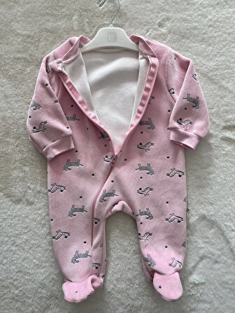 Happy Zebra Land Tulum