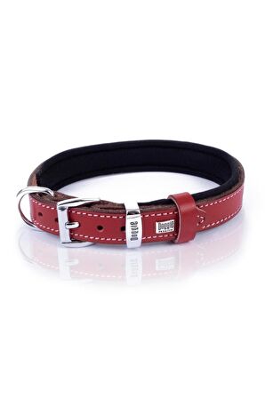 Doggie Comfort Deri Kemik Desenli Köpek Boyun Tasması Medium Kırmızı2x35-40 Cm