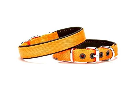 Doggie Softlu Köpek Boyun Tasması 2 cm x 40 cm Turuncu