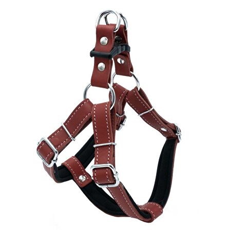 Doggie Konfor Ronın Deri Göğüs Tasması Kırmızı 1,5x35 40 Cm 