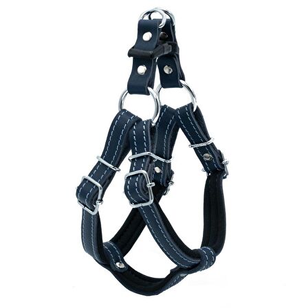 Doggie Konfor Ronın Deri Göğüs Tasması Royalblue 1,5x40 45 Cm 