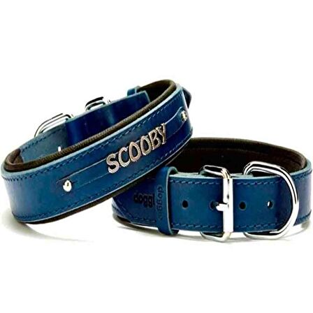 Doggie Deri İsimlikli Boyun Tasması Royal Blue SBT 3515 M