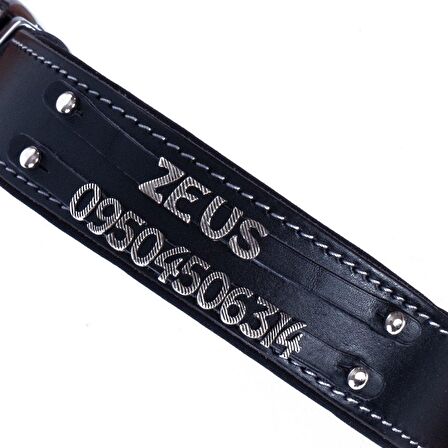 Doggie İsimlikli Deri Boyun Tasması L 3.5x52-60cm Siyah