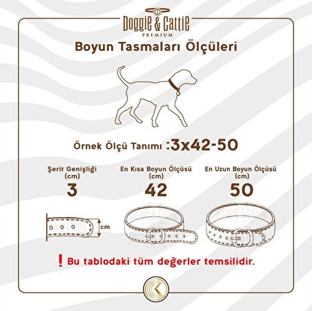 Cattie Ayarlanabilir Kedi Boyun Tasması 1 cm x 30 cm Mavi