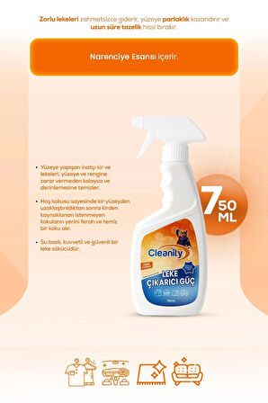 Leke Çıkarıcı Güç 750 ml | Tüm Kumaş ve Yüzeylerde Etkili Formül