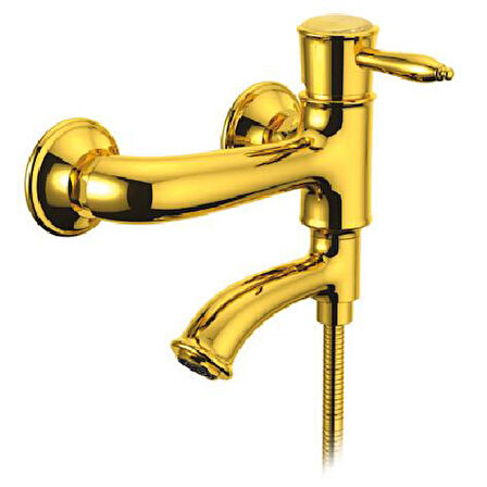 PENTA BOSPHORUS BANYO BATARYASI GOLD 2404