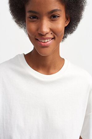 Basic Tshirt 