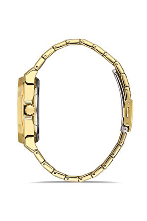 Ferro F11290A-B 42 mm Quartz Çelik Altın Rengi 42 mm Erkek Kol Saati  