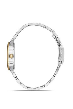 Ferro FL40115A-D10 Quartz Çelik Altın/Gri Yeşil Kadran 32 mm Kadın Kol Saati