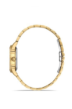 Ferro Quartz Çelik Altın Rengi 32 mm Kadın Kol Saati