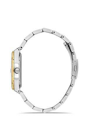 Ferro F11569AWT-D6 Quartz Çelik Altın/Gri Yeşil Kadran 40 mm Erkek Kol Saati