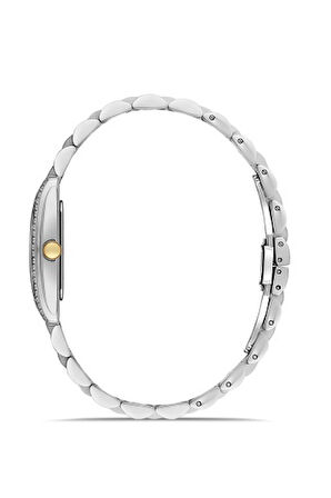 Ferro Quartz Çelik Altın/Gri Yeşil Kadran 22 mm Kadın Kol Saati