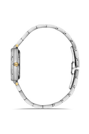 Ferro FL43006A-D Quartz Çelik Altın/Gri 32 mm Kadın Kol Saati