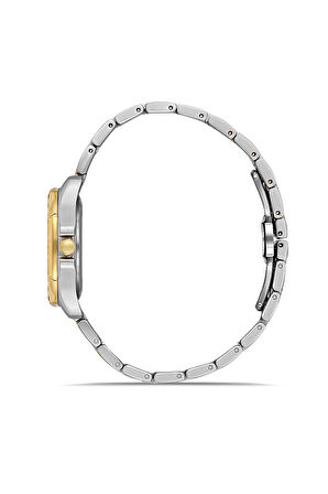 Ferro FL43008A-D6 Quartz Çelik Altın/Gri Yeşil Kadran 31 mm Kadın Kol Saati