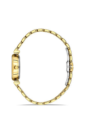 Sarı ve Gümüş Çelik Kordon Kadın Kol Saati FL43020A-D6