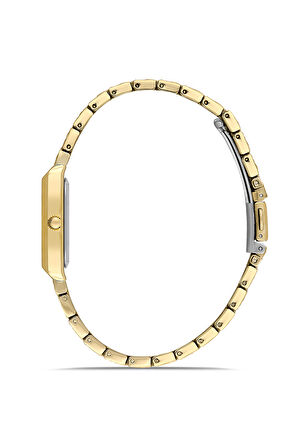 Ferro FL21599AWT-B6 Quartz Çelik Altın Rengi Yeşil Kadran 22 mm Kadın Kol Saati