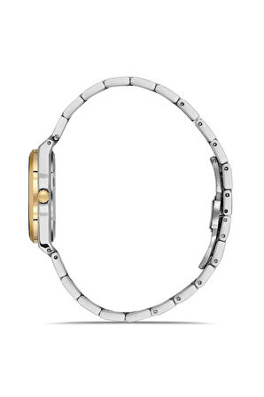 Ferro FL21631AWT-D3 Quartz Çelik Altın/Gri Lacivert Kadran 32 mm Kadın Kol Saati