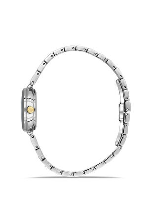 Ferro FL21617AWT-D Quartz Çelik Altın/Gri 26 mm Kadın Kol Saati