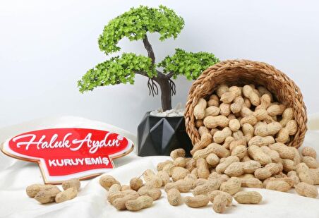 Kabuklu Tuzsuz Fıstık 500 G