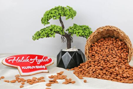 Çiğ Kayısı Çekirdeği 500 G