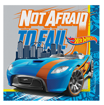 HOT WHEELS PEÇETE 16'LI