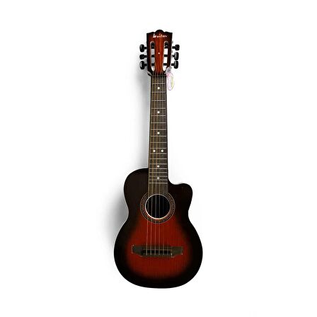 2076 Akustik Gitar 69 cm