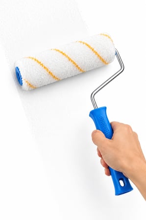 25 cm Saplı Boya Rulosu