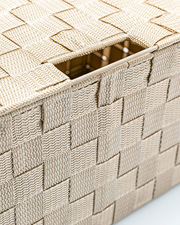 Shine Kapaklı Saklama Kutusu Bej